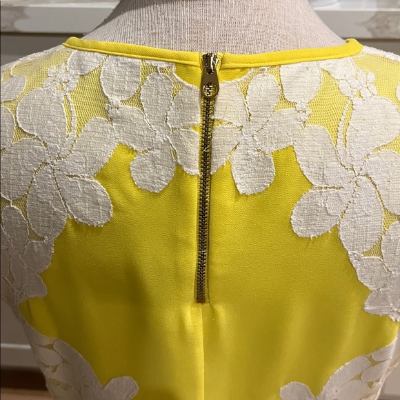 Ted Baker Vember Yellow and White Lace Mini Dress - Picture 9 of 14